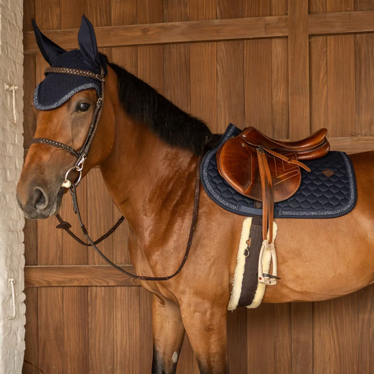 Tapis de selle Classic Onion pailleté MIXTE - Kentucky