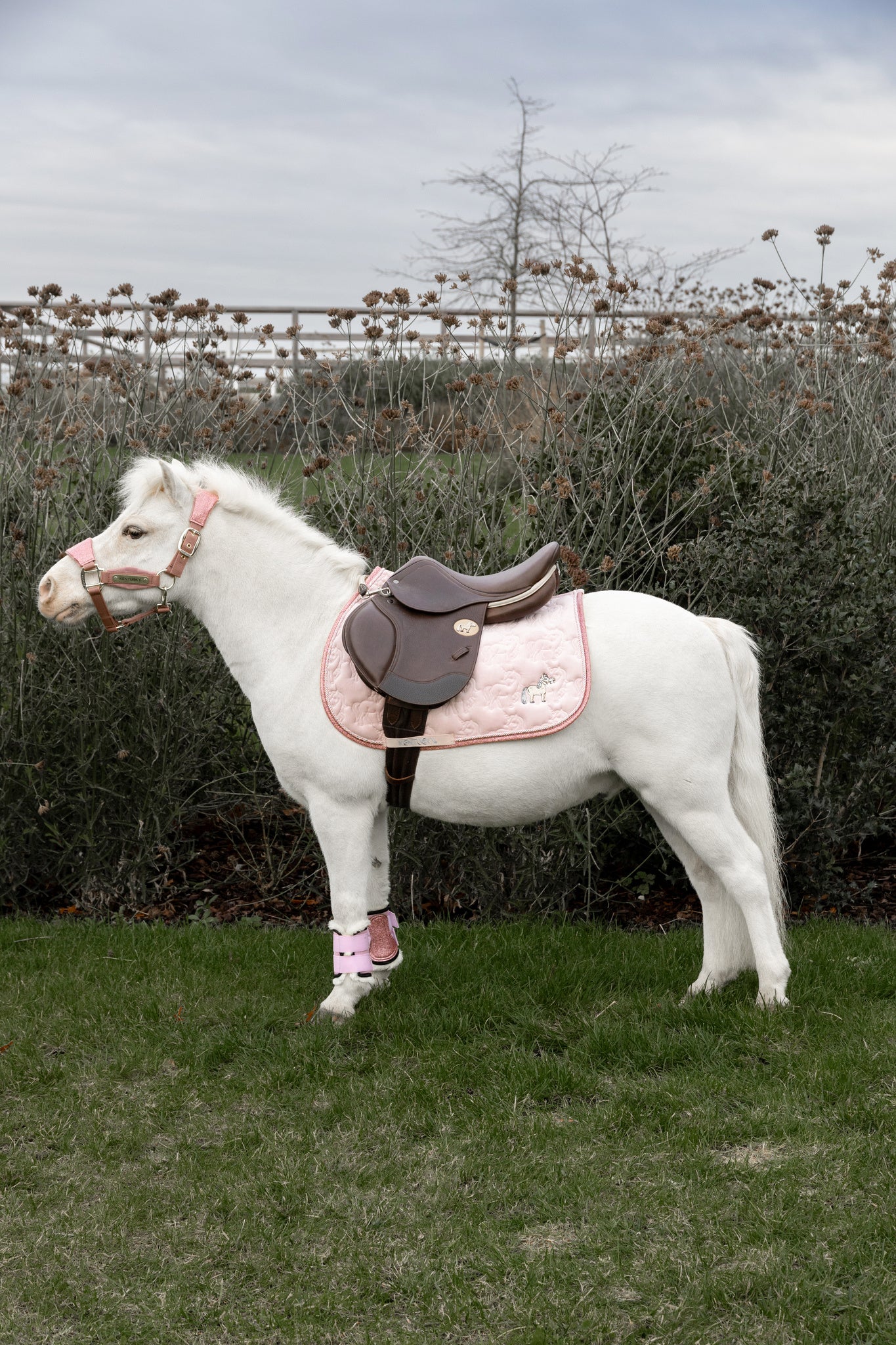 Tapis de selle Unicorn glitter MIXTE - Kentucky