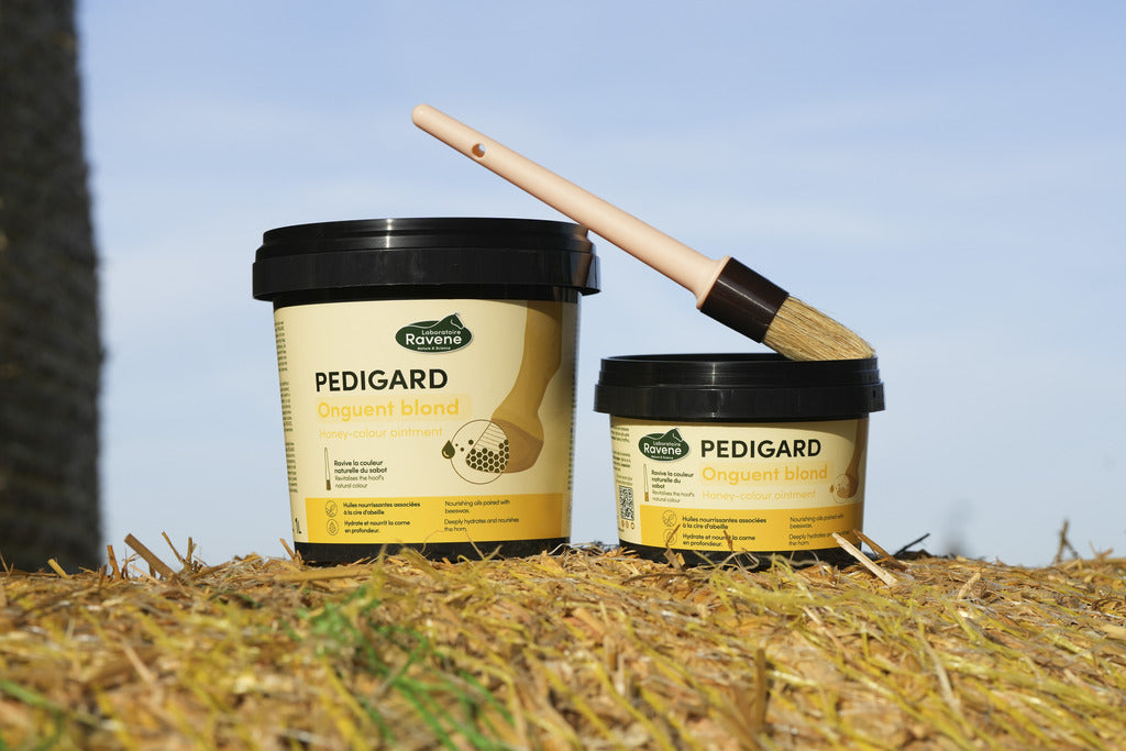 Onguent blond Pedigard - Laboratoire Ravene