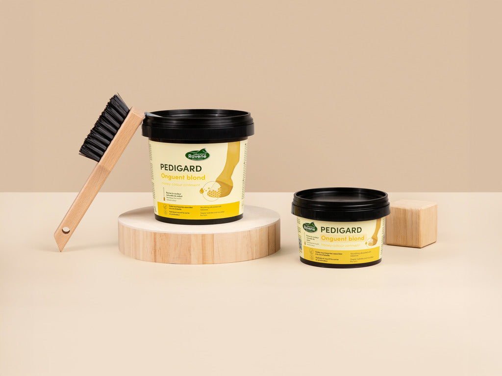 Onguent blond Pedigard - Laboratoire Ravene