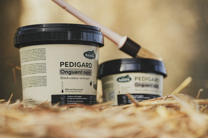 Pedigard Black Ointment - Laboratoire Ravene