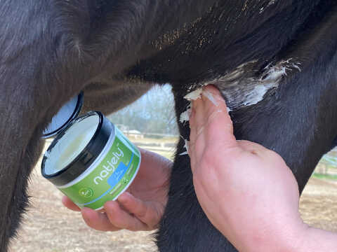 Baume anti-parasites NATJELY - ANIMADERM