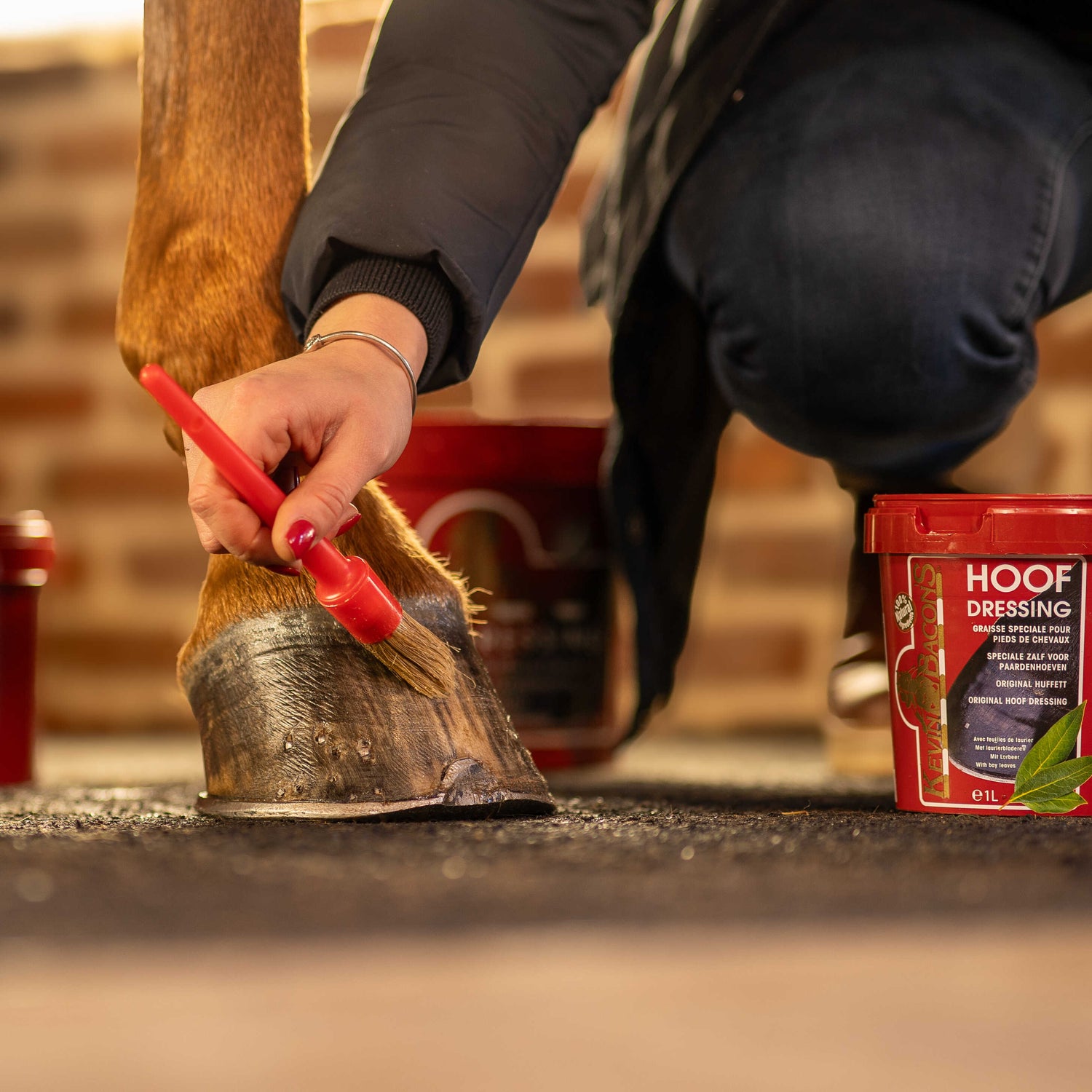 Graisse pour sabots Hoof Dressing Winter - KEVIN BACON&