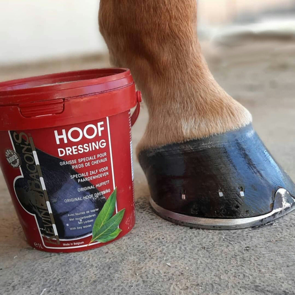 Graisse pour sabots Hoof Dressing Original - Kevin Bacon&