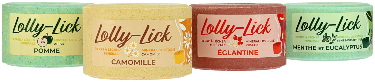 Pierre à sel Lolly Lick Pomme - Hippotonic