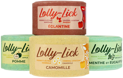 Pierre à sel Lolly Lick Églantine - Hippotonic