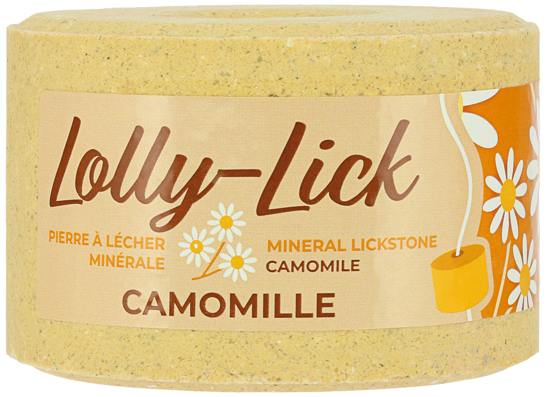 Pierre à sel Lolly Lick Camomille - Hippotonic