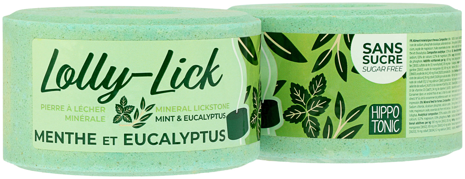 Pierre à sel Lolly Lick Menthe/Eucalyptus - Hippotonic