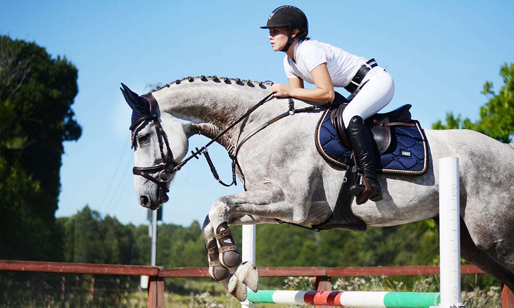 Tapis de selle Equestrian Stockholm - ROYAL CLASSIC