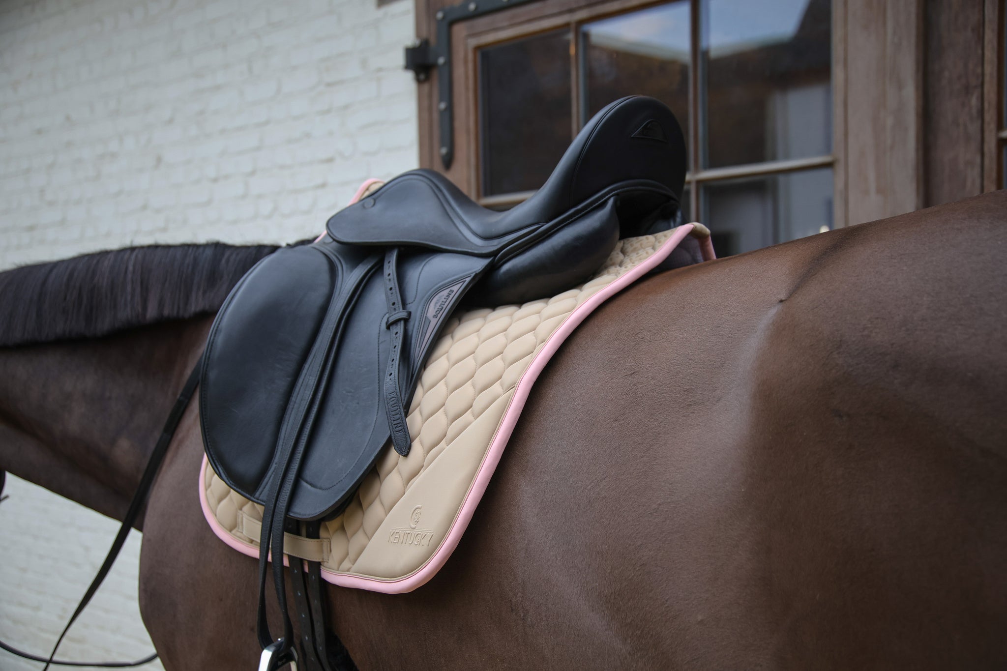 Tapis Softshell Onion Quilt DRESSAGE - Kentucky