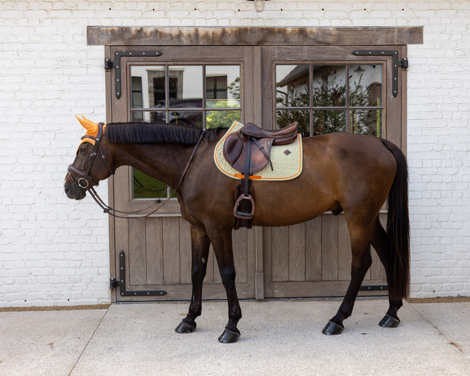 Tapis de Selle Velvet printing Orange et Bleu MIXTE - Kentucky