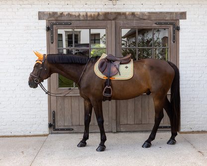 Tapis de Selle Velvet printing Orange et Bleu MIXTE - Kentucky