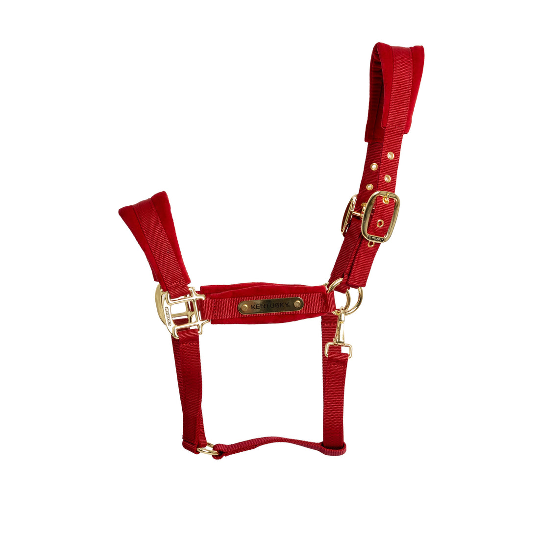 Licol Velvet Rouge - Kentucky