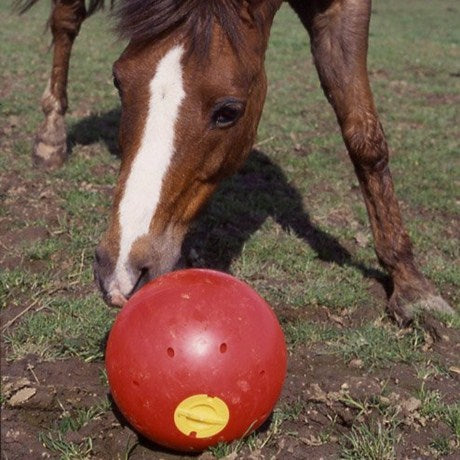 Ballon à trous LIKIT - Snak-a-ball