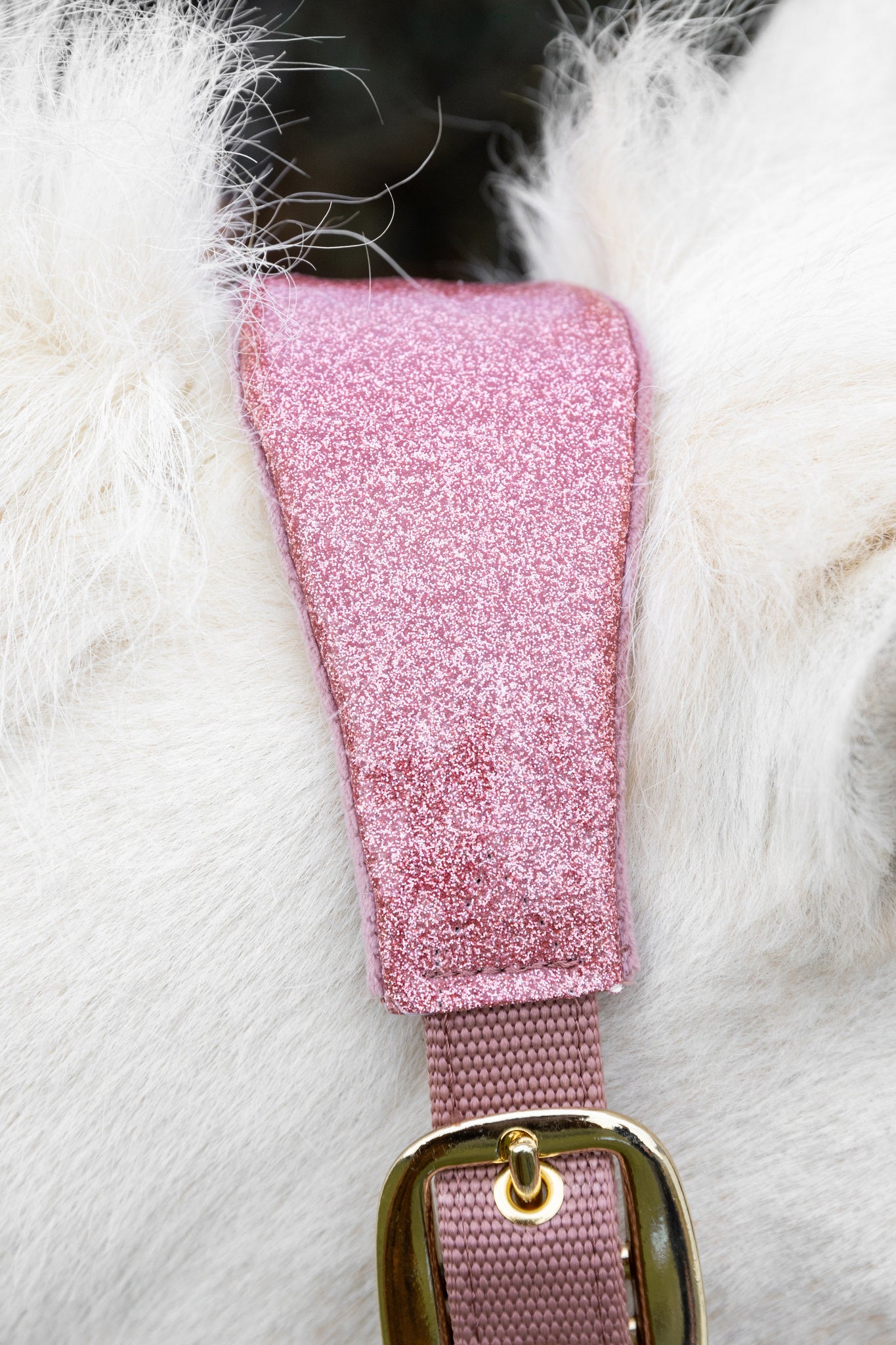 Licol Velvet Unicorn Glitter - Kentucky