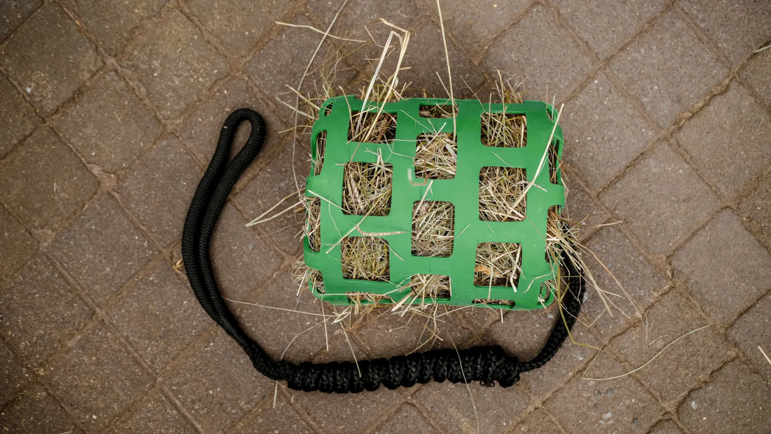 Panier et longe antiglouton - HIPPOTONIC