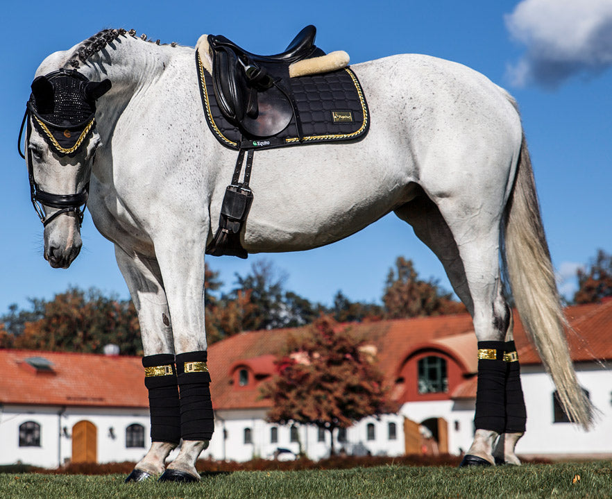 Tapis de selle EQUITO - Noir/Or