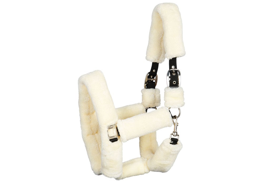Licol Teddy - Harry&