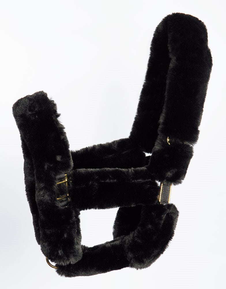 Licol Furry - Harry&