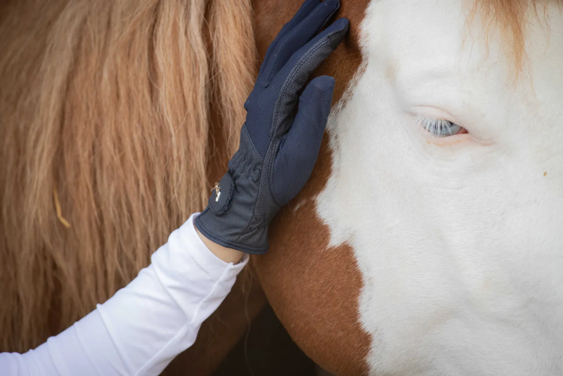 Competition riding gloves - PENELOPE COLLECTION