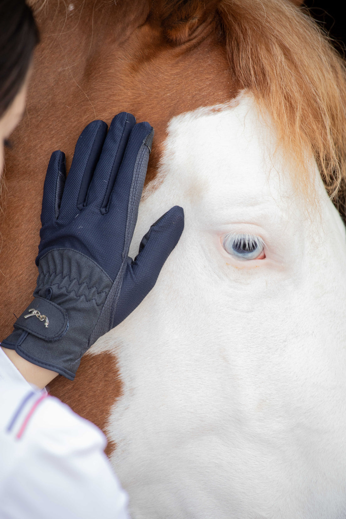 Competition riding gloves - PENELOPE COLLECTION