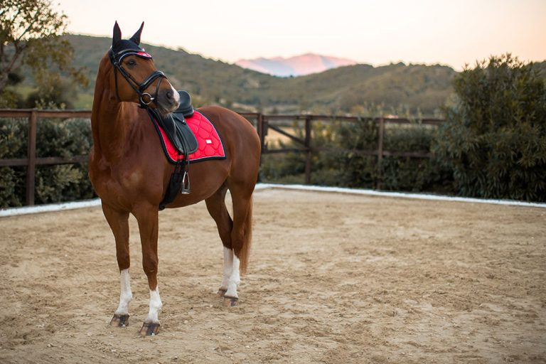 Tapis de selle Equestrian Stockholm - GRENADINE