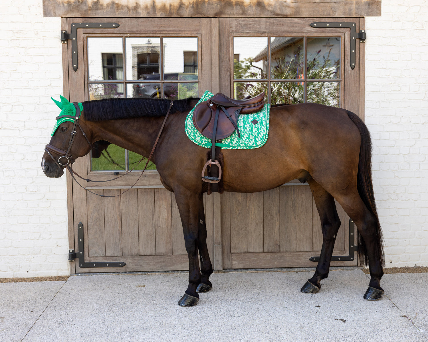 Tapis de Selle Velvet printing Vert/Blanc MIXTE - Kentucky