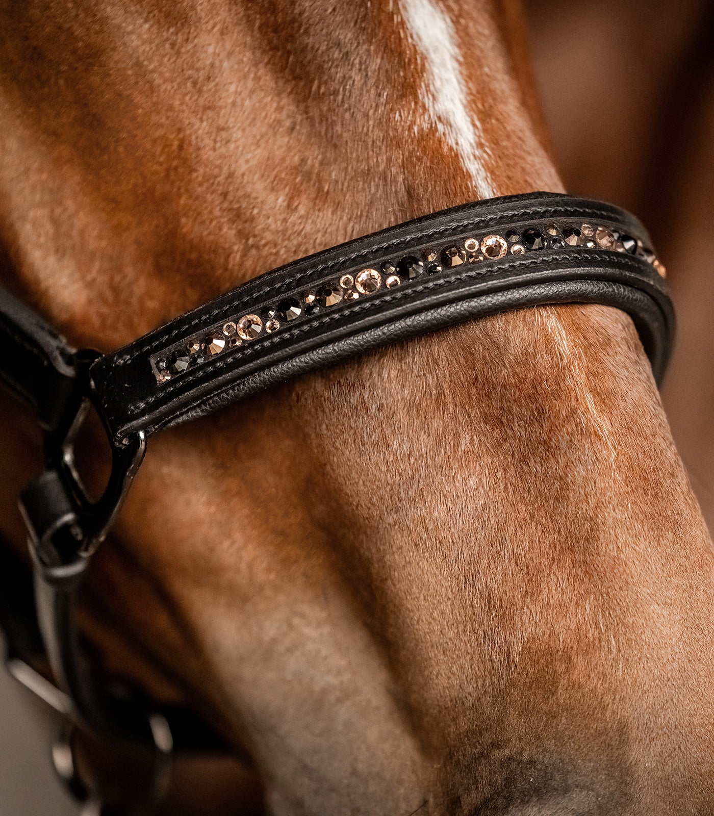 Licol en cuir Crystal X-Line - Waldhausen