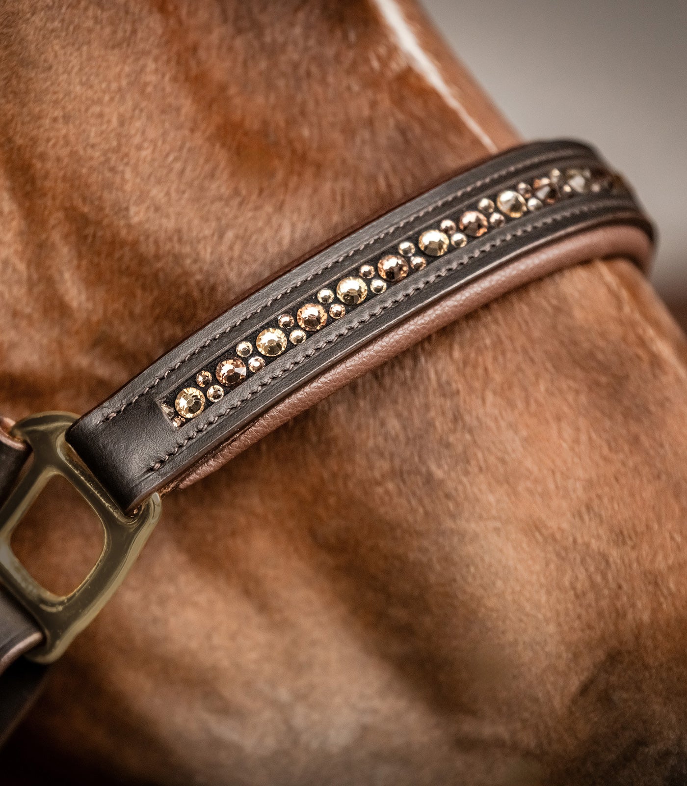 Licol en cuir Crystal X-Line - Waldhausen