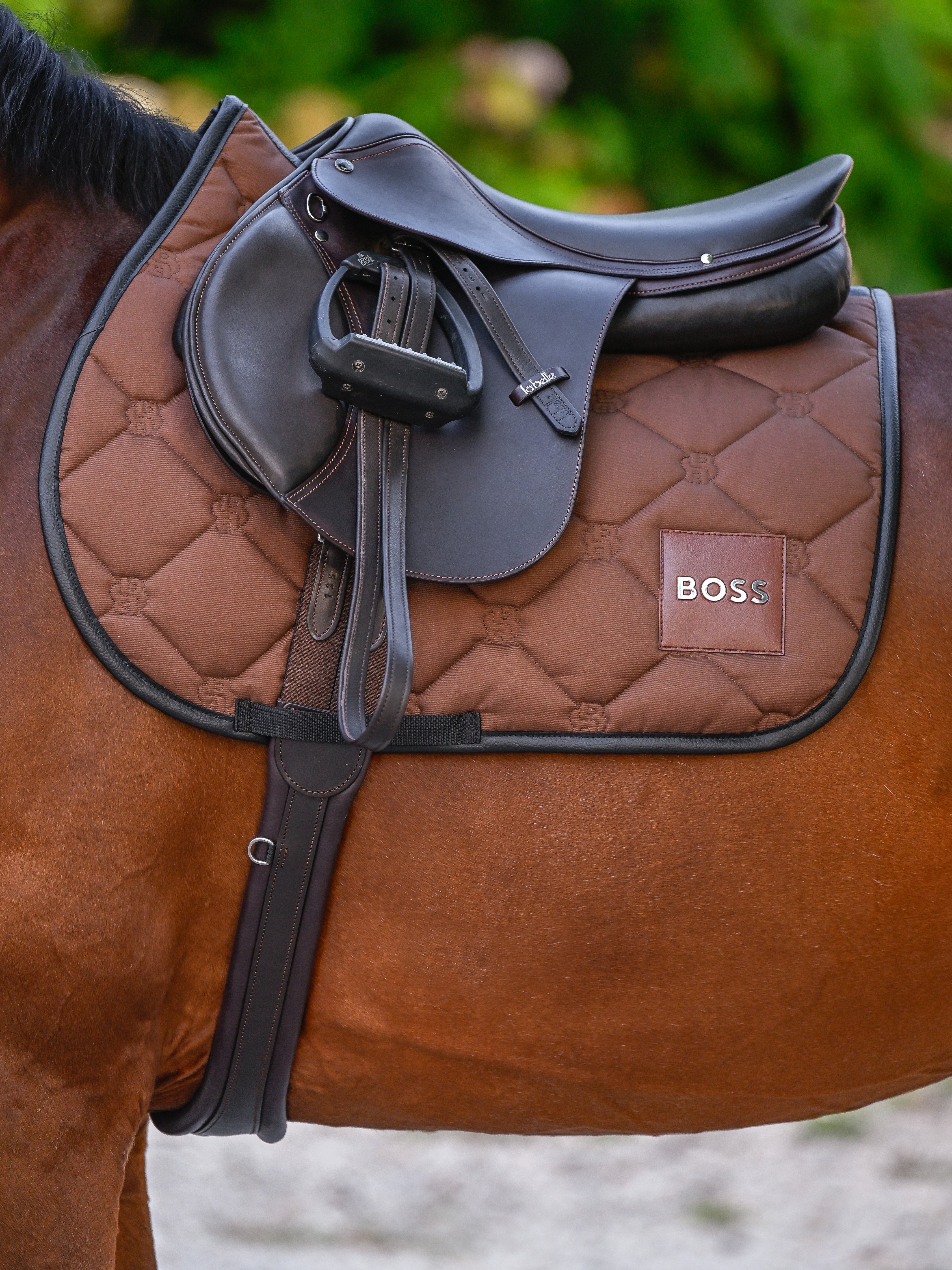 Tapis de selle Cappuccino Mixte - Boss Equestrian