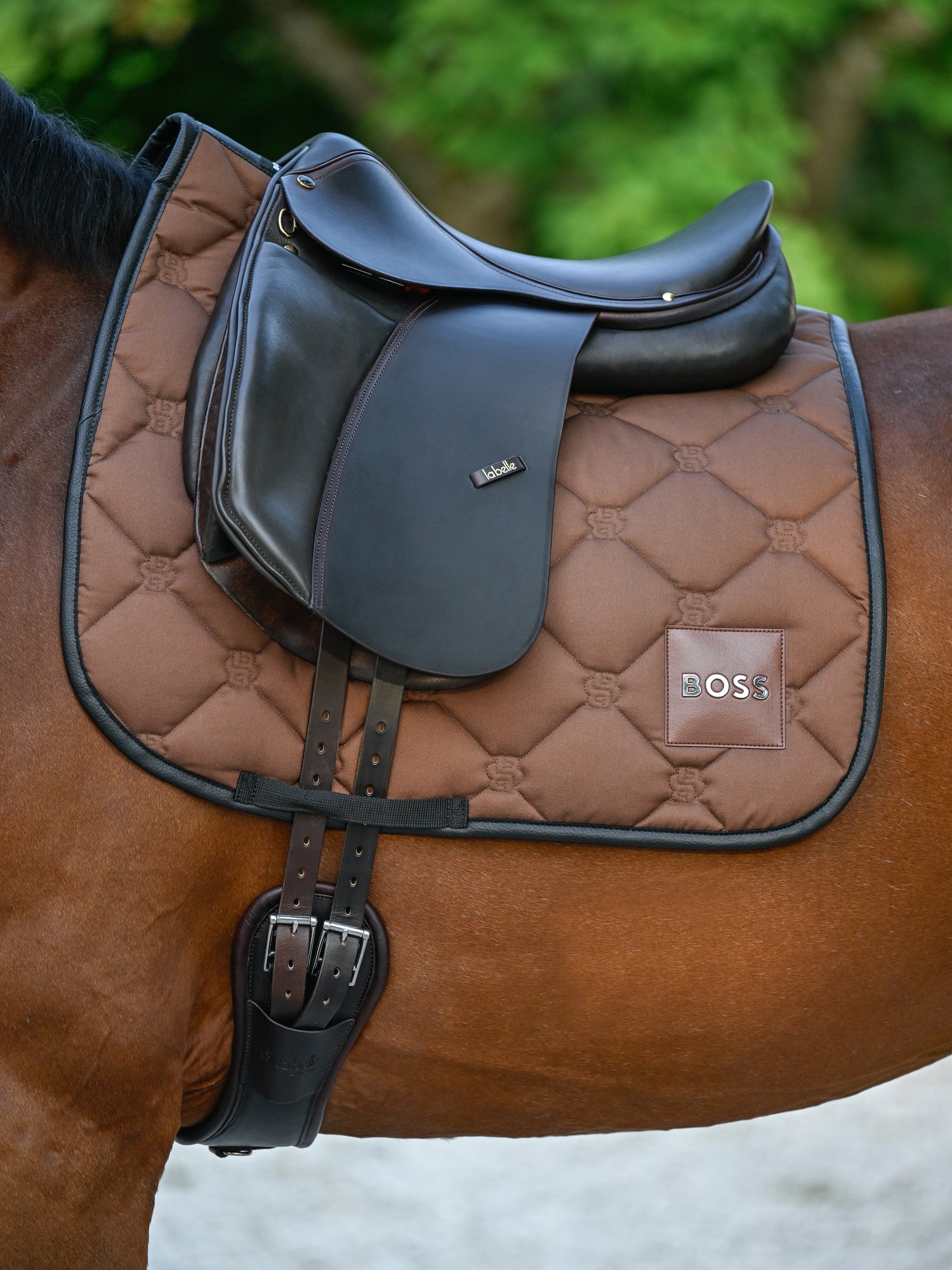 Tapis de selle Cappuccino Dressage - Boss Equestrian