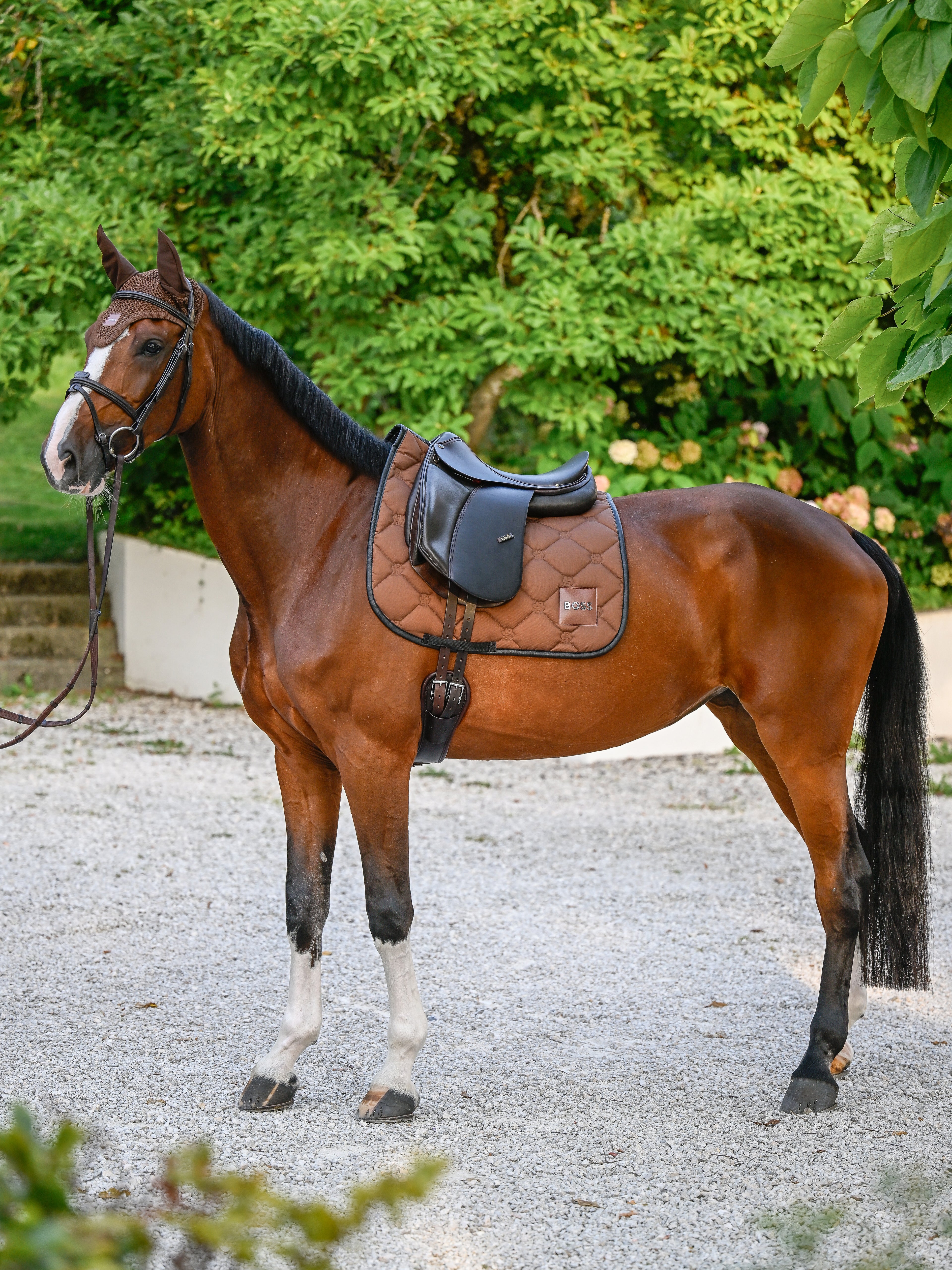 Tapis de selle Cappuccino Dressage - Boss Equestrian