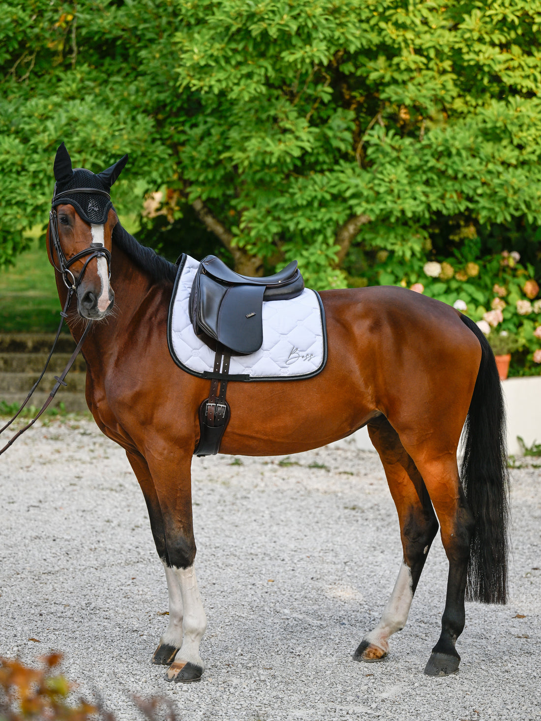 Tapis de selle Glitter Blanc Dressage - Boss Equestrian