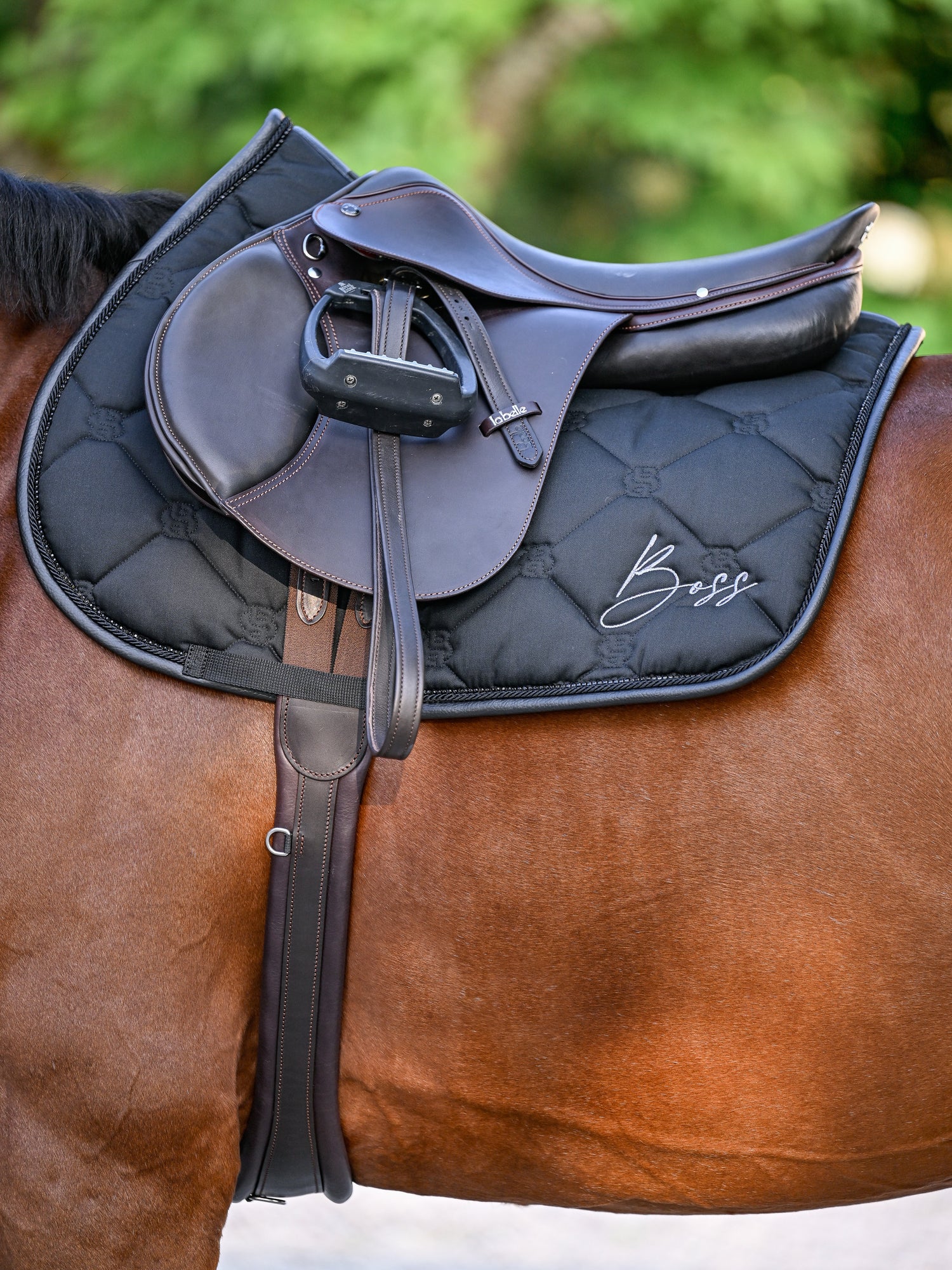 Tapis de selle Glitter Noir Mixte - Boss Equestrian