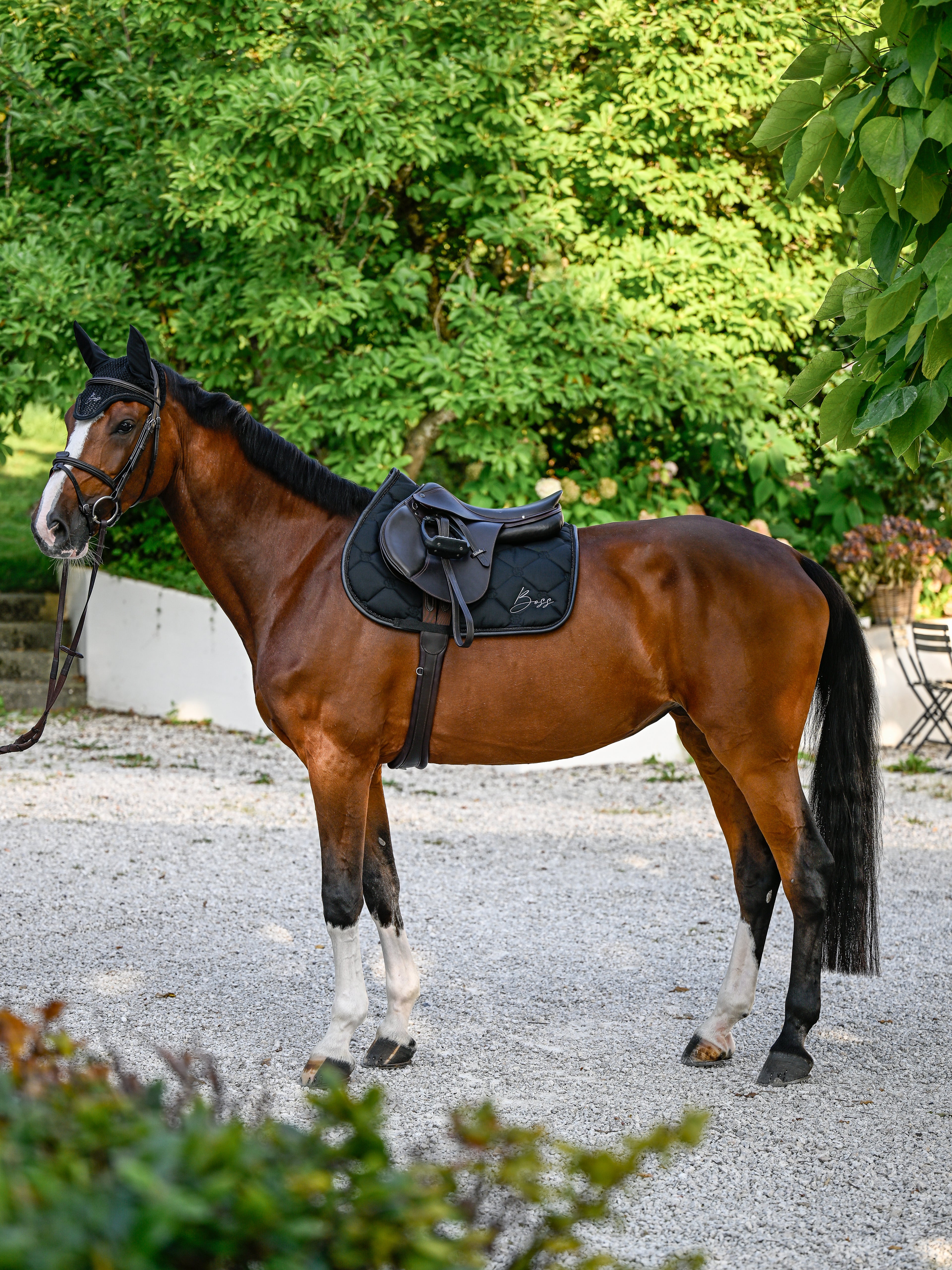 Tapis de selle Glitter Noir Mixte - Boss Equestrian