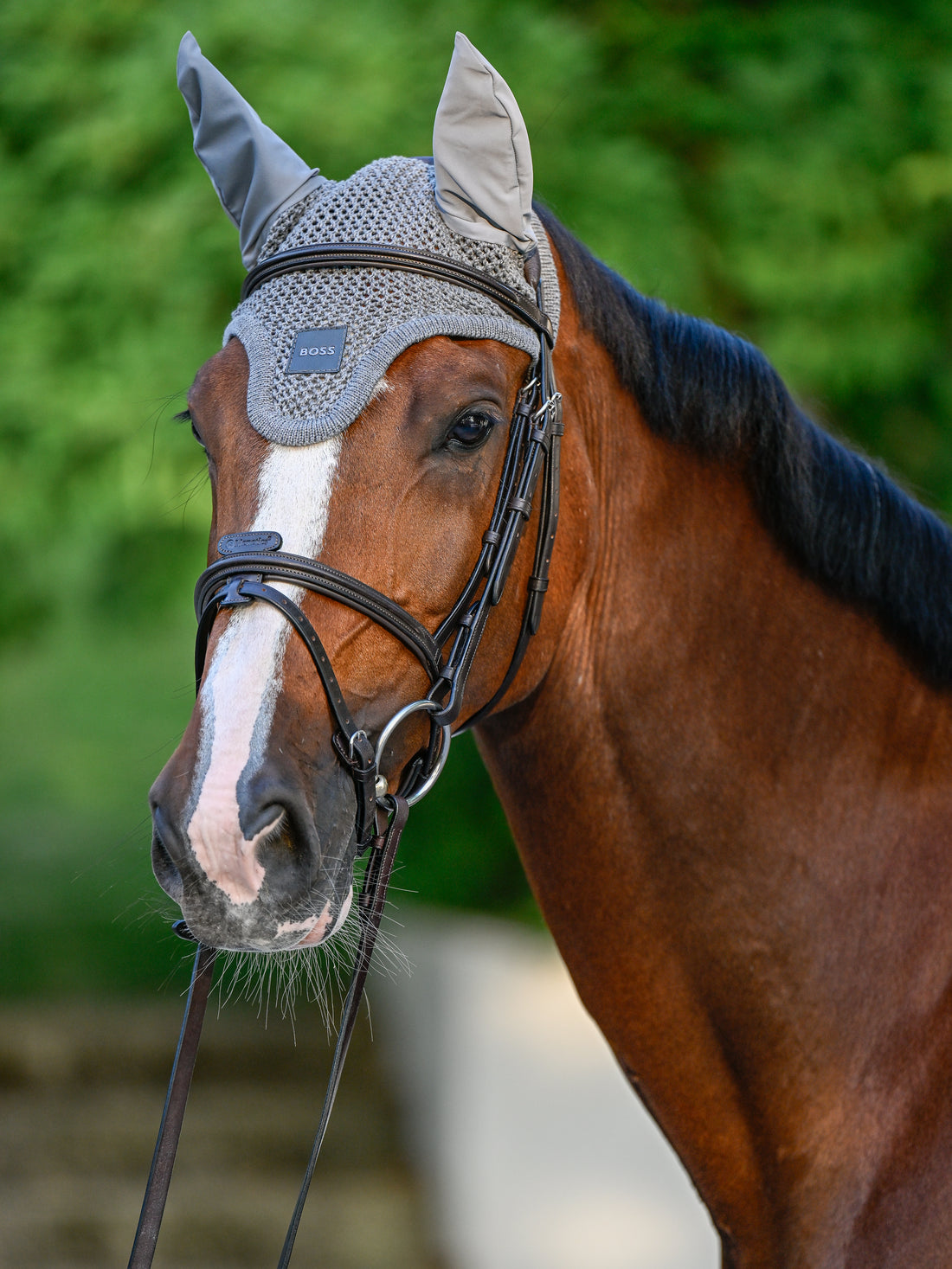 Bonnet anti-mouches Greymelange - Boss Equestrian