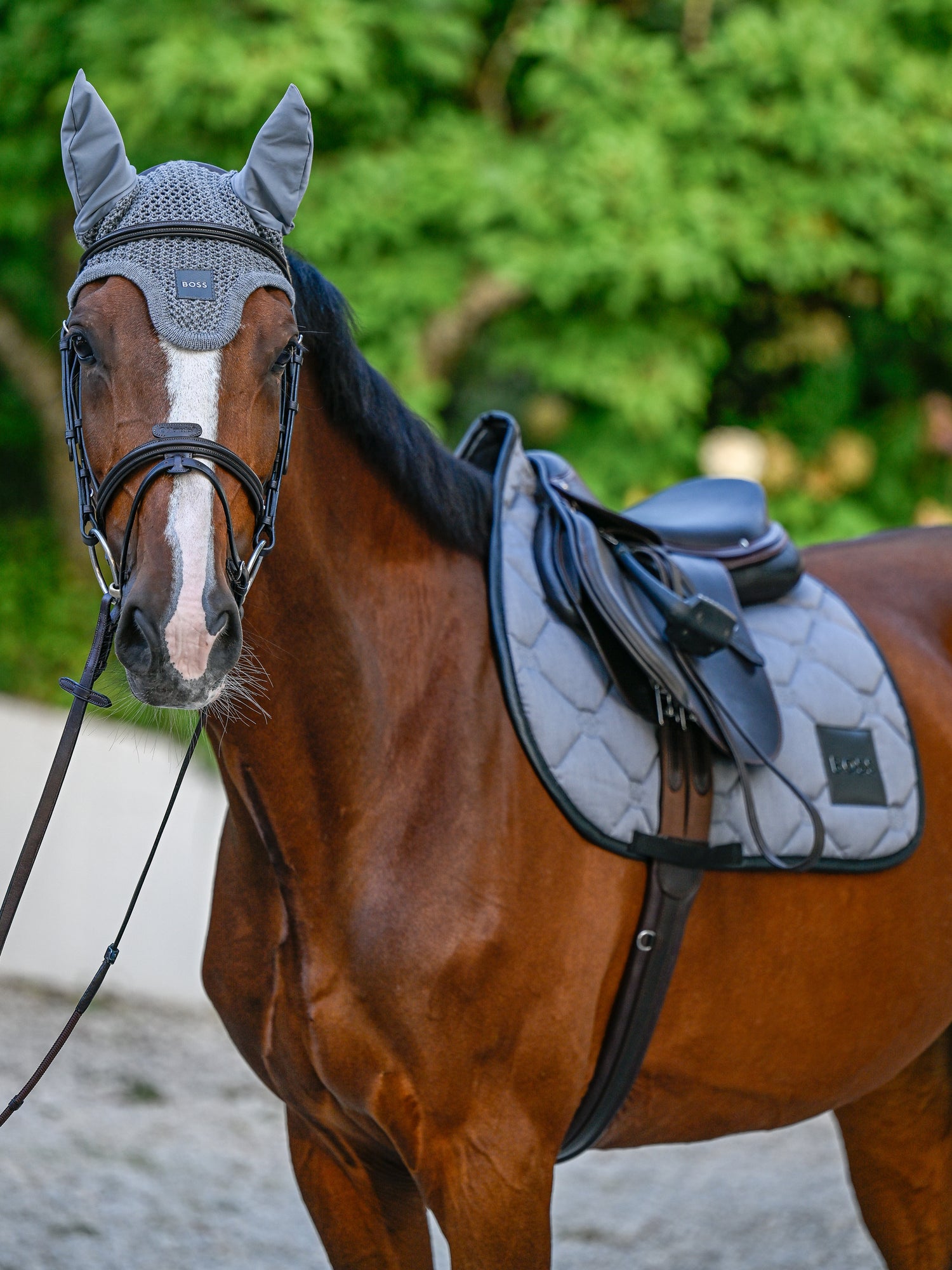 Bonnet anti-mouches Greymelange - Boss Equestrian