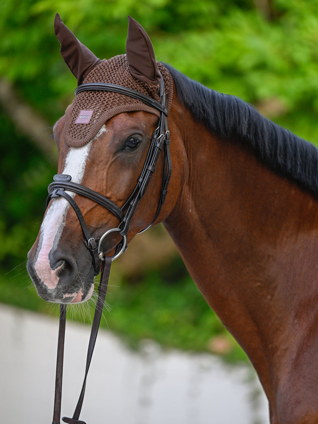 Bonnet anti-mouches Cappuccino - Boss Equestrian