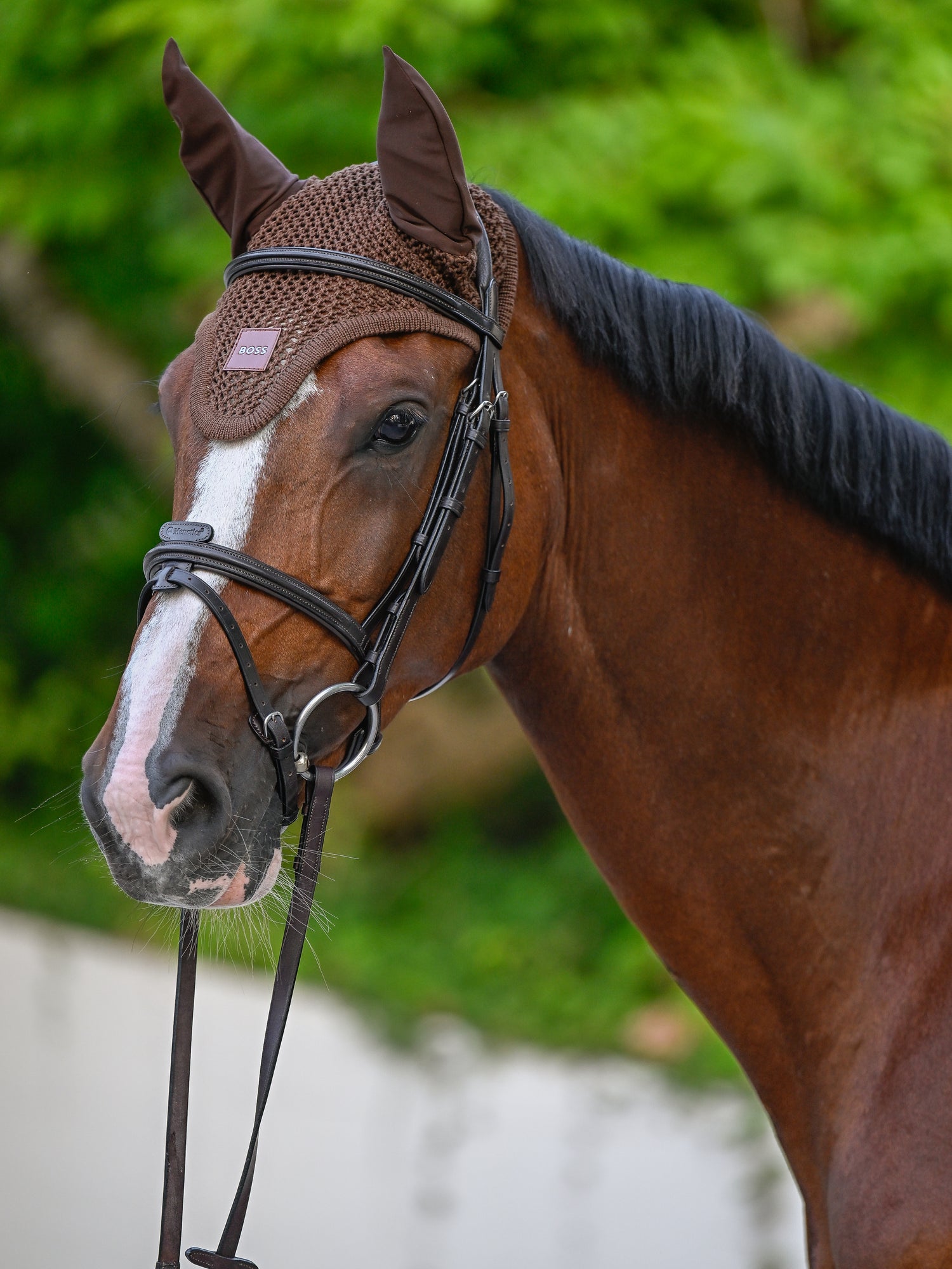 Bonnet anti-mouches Cappuccino - Boss Equestrian