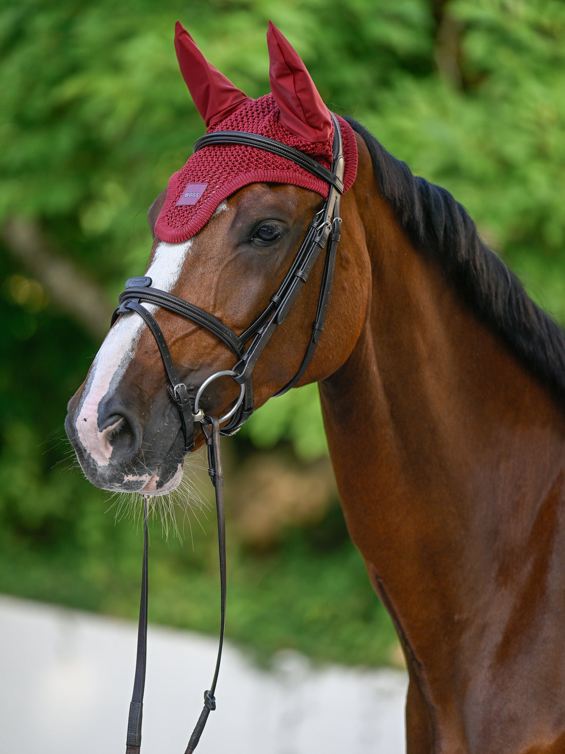 Bonnet anti-mouches Cabernet - Boss Equestrian
