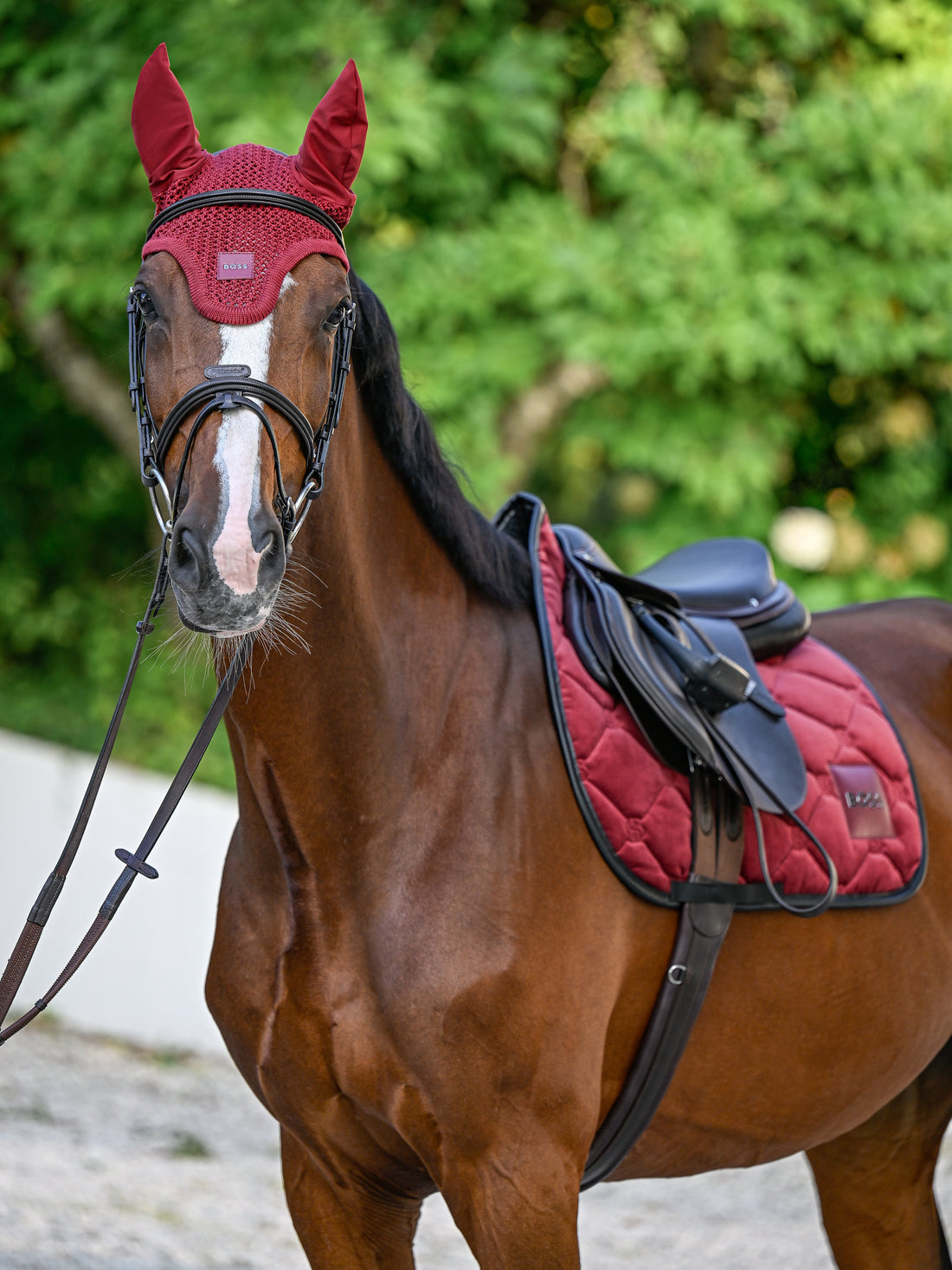 Bonnet anti-mouches Cabernet - Boss Equestrian