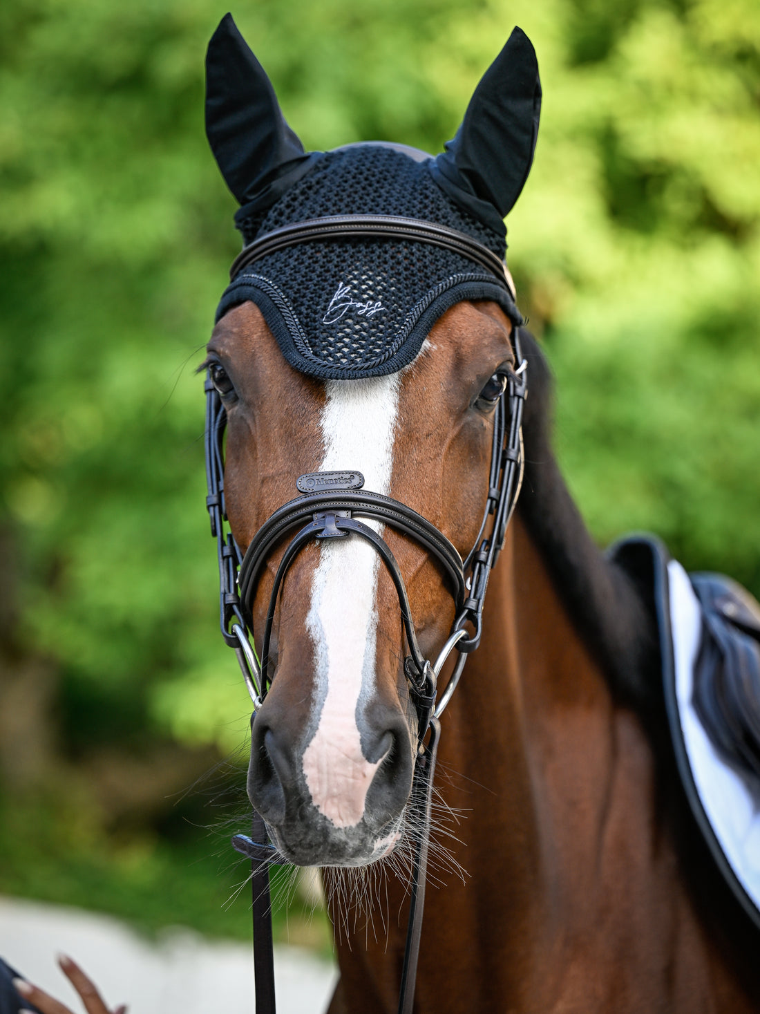 Bonnet anti-mouches Glitter Noir - Boss Equestrian
