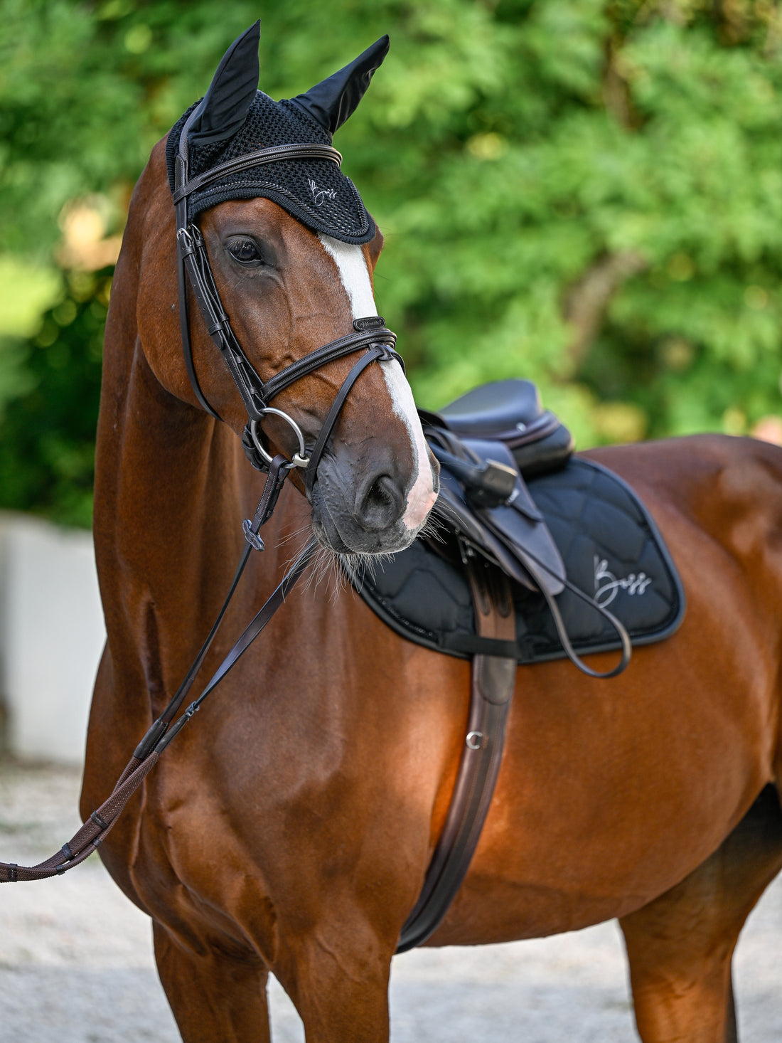 Bonnet anti-mouches Glitter Noir - Boss Equestrian