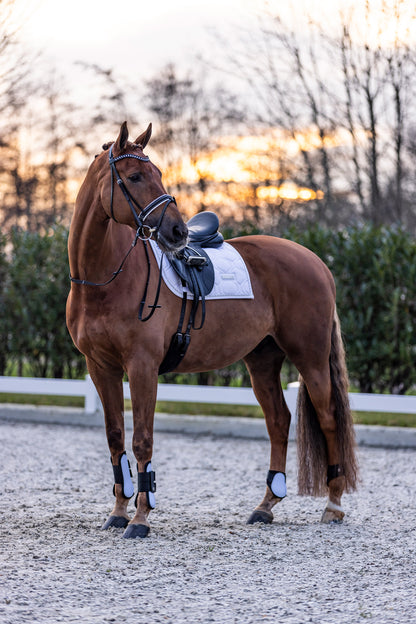 Guetres Lovely - IMPERIAL RIDING