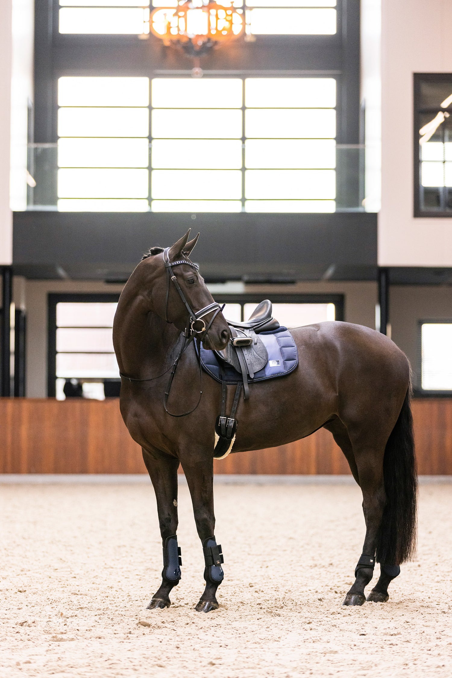 Guetres Lovely - IMPERIAL RIDING