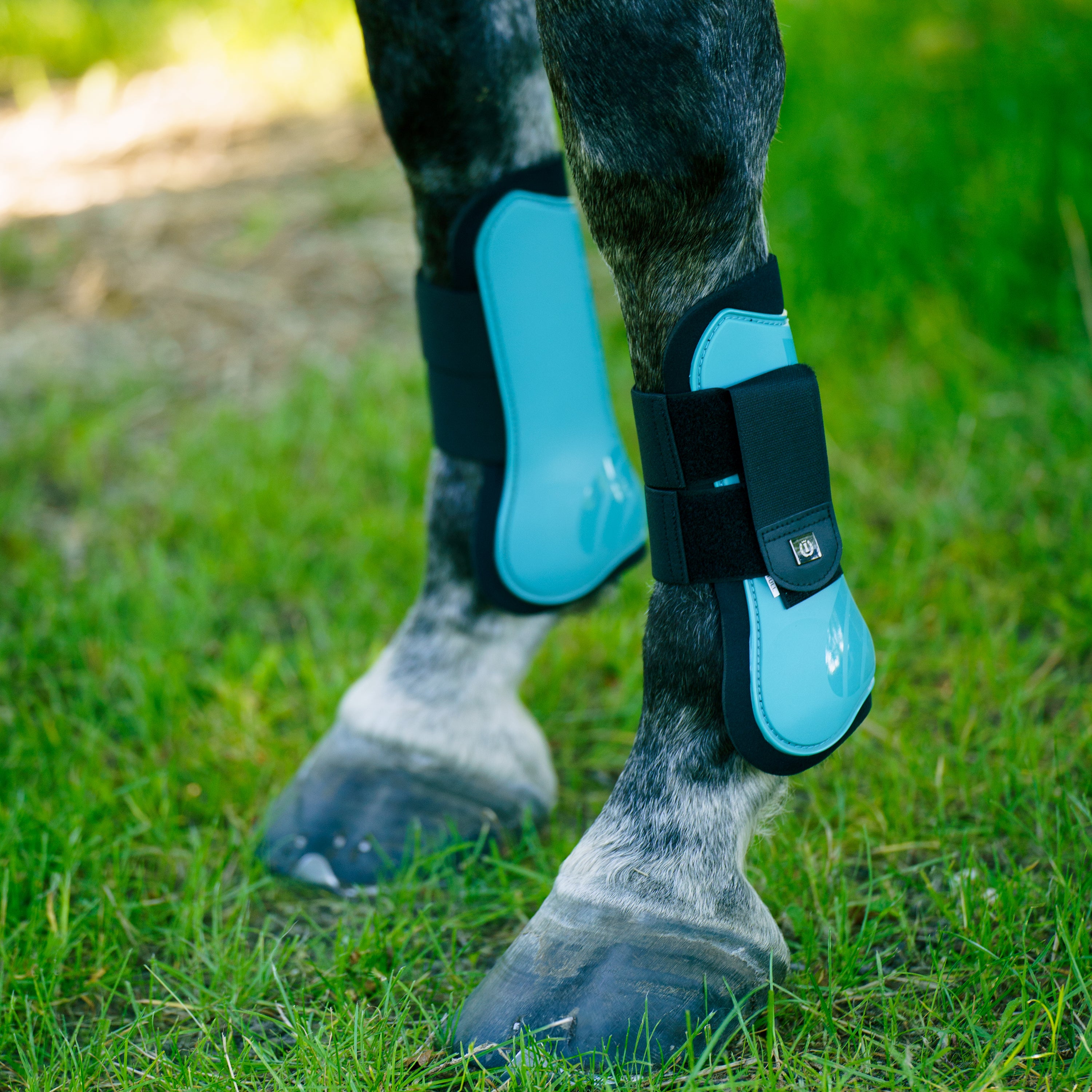 Guetres Lovely - IMPERIAL RIDING