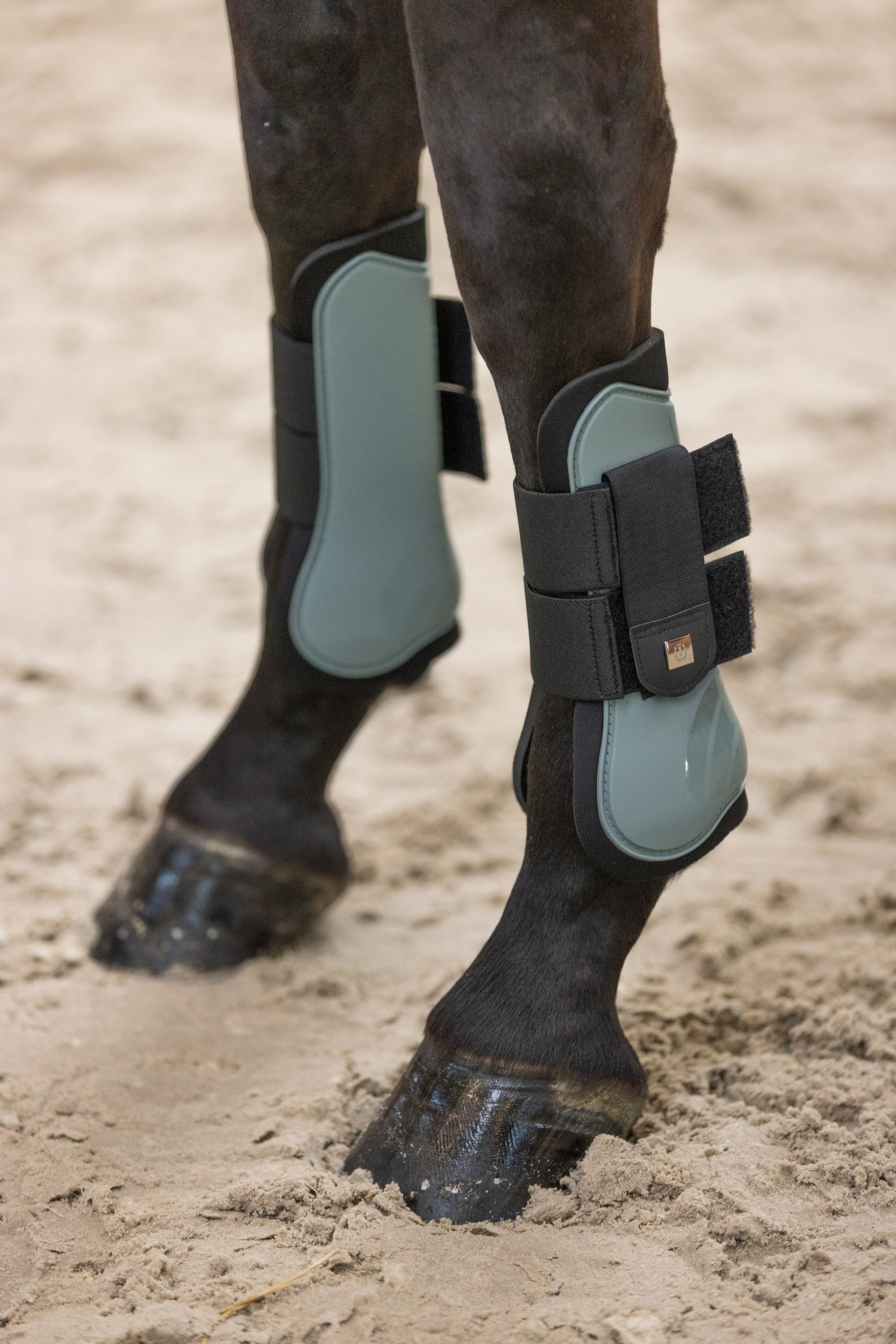 Guetres Lovely - IMPERIAL RIDING