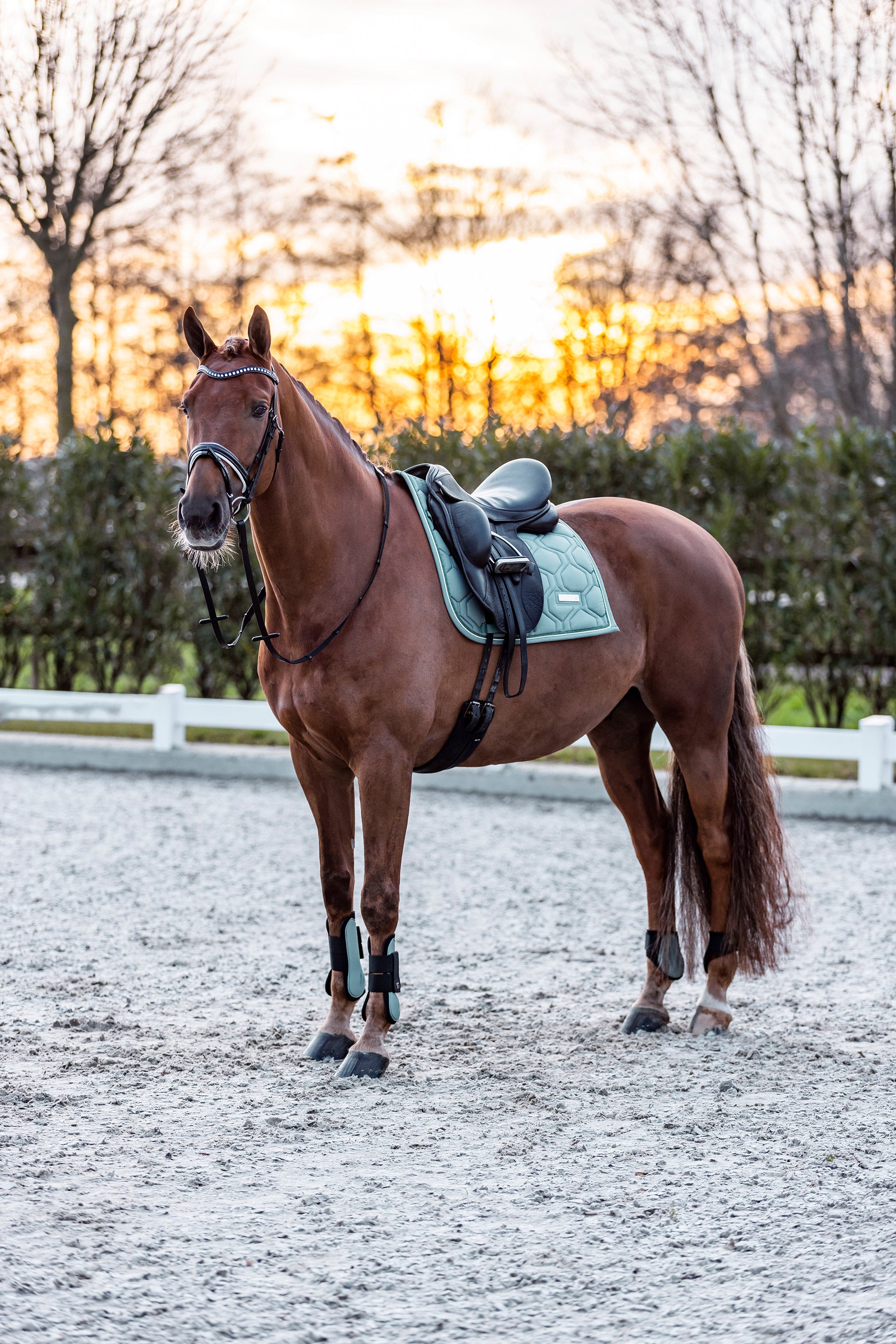 Guetres Lovely - IMPERIAL RIDING