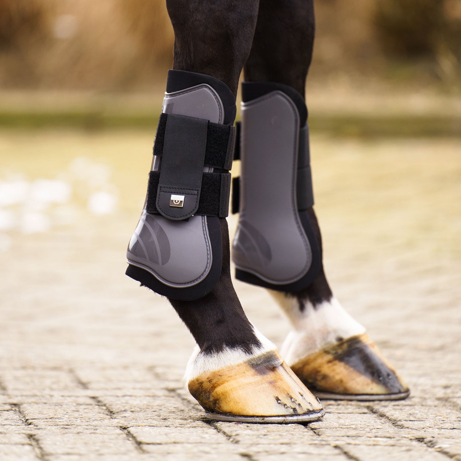 Guetres Lovely - IMPERIAL RIDING