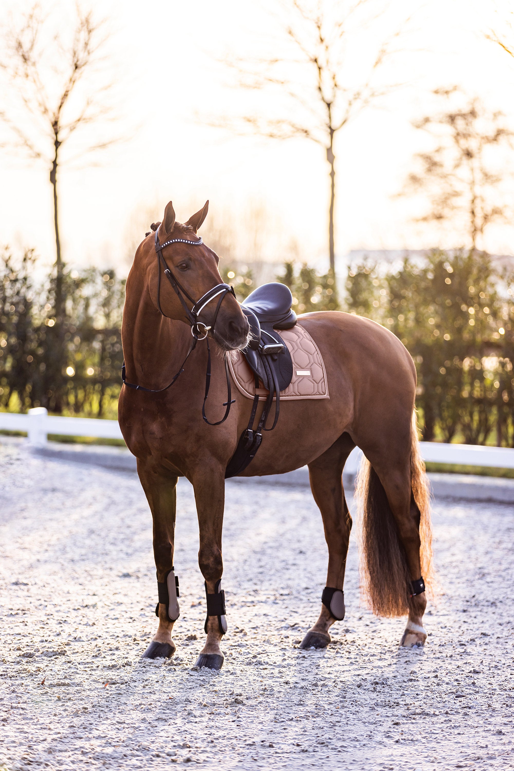 Guetres Lovely - IMPERIAL RIDING